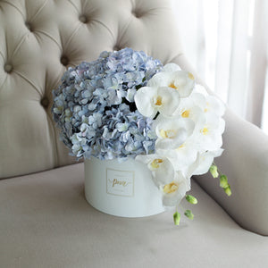 กล่องดอกไม้แสดงความยินดีขนาดใหญ่ Wonder Gift Box - Blue Orchid