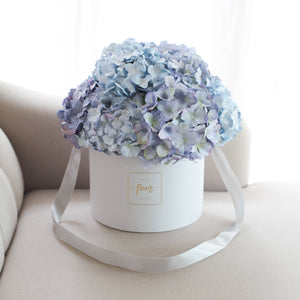 กล่องดอกไม้แสดงความยินดีขนาดใหญ่ Wonder Gift Box - Purple Sky Hydrangea