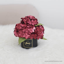 โหลดรูปภาพลงในเครื่องมือใช้ดูของ Gallery กระปุกดอกไม้น้ำหอมของขวัญขนาดเล็ก Aromatic Gift Box - Red Wine Hydrangea
