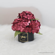 โหลดรูปภาพลงในเครื่องมือใช้ดูของ Gallery กระปุกดอกไม้น้ำหอมของขวัญขนาดเล็ก Aromatic Gift Box - Red Wine Hydrangea
