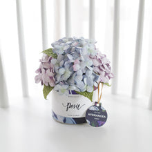 โหลดรูปภาพลงในเครื่องมือใช้ดูของ Gallery กระปุกดอกไม้น้ำหอมของขวัญขนาดกลาง Aromatic Gift Box - Purple Sky Hydrangea
