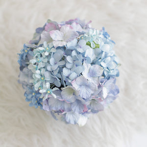 กระปุกดอกไม้น้ำหอมของขวัญขนาดกลาง Aromatic Gift Box - New Blue