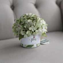 โหลดรูปภาพลงในเครื่องมือใช้ดูของ Gallery กระปุกดอกไม้น้ำหอมของขวัญขนาดเล็ก Aromatic Gift Box - White Cream Hydrangea
