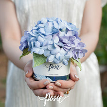 โหลดรูปภาพลงในเครื่องมือใช้ดูของ Gallery กระปุกดอกไม้น้ำหอมของขวัญขนาดเล็ก Aromatic Gift Box - Purple Sky Hydrangea
