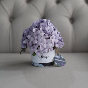 กระปุกดอกไม้น้ำหอมของขวัญขนาดเล็ก Aromatic Gift Box - Sweet Purple Hydrangea