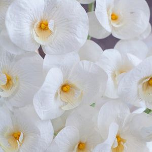 ดอกไม้แต่งบ้าน แจกันดอกไม้ประดิษฐ์ ดอกกล้วยไม้แมคฟาแลนด์ - Mcfarland Orchid Marseille Vase