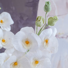 โหลดรูปภาพลงในเครื่องมือใช้ดูของ Gallery ดอกไม้แต่งบ้าน แจกันดอกไม้ประดิษฐ์ ดอกกล้วยไม้แมคฟาแลนด์ - Mcfarland Orchid Marseille Vase
