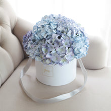 โหลดรูปภาพลงในเครื่องมือใช้ดูของ Gallery กล่องดอกไม้แสดงความยินดีขนาดใหญ่ Wonder Gift Box - Purple Sky Hydrangea
